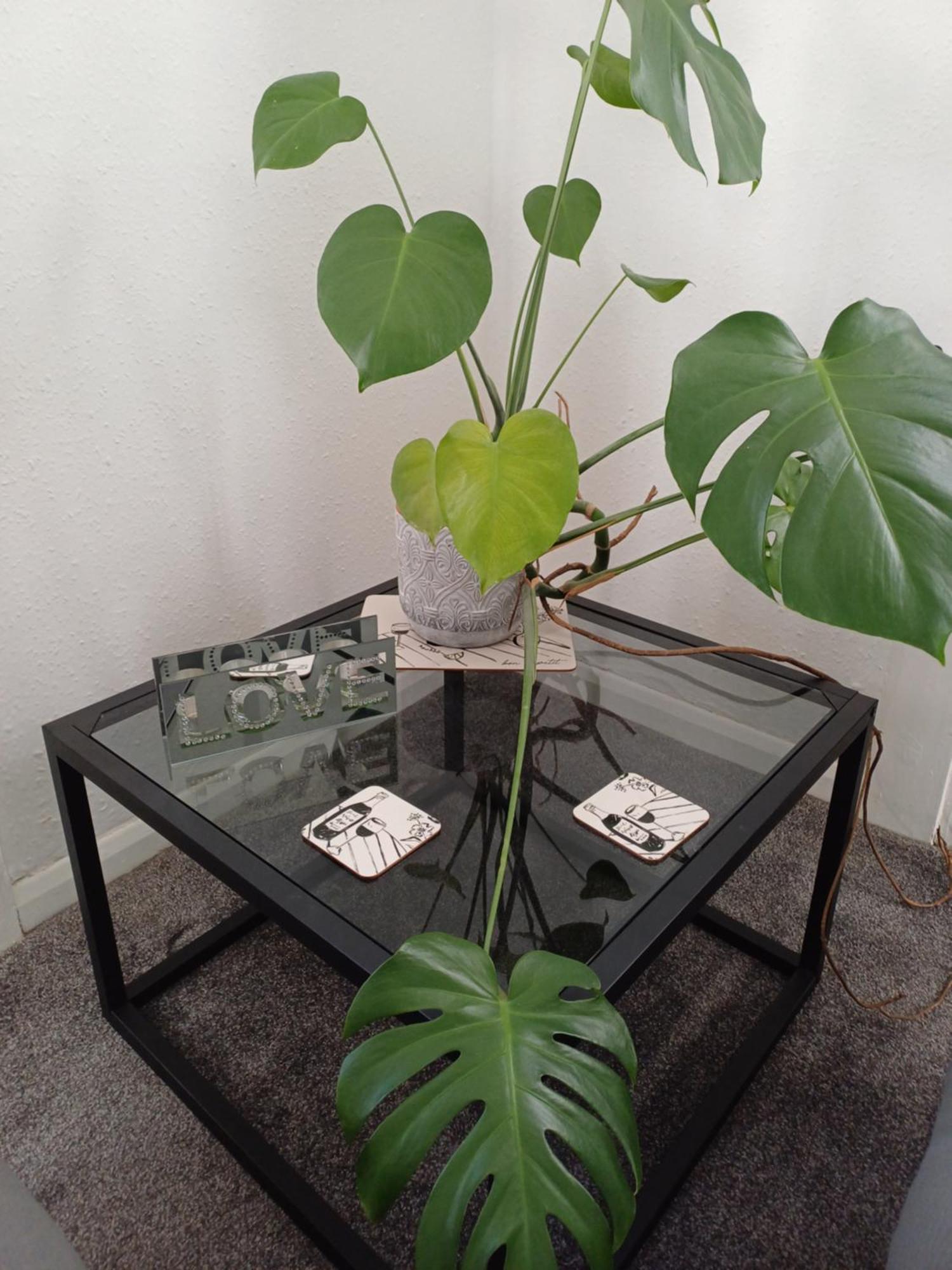Apartment From *